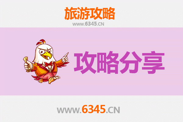 上海青浦旅游攻略：跟团与自由行全方位对比