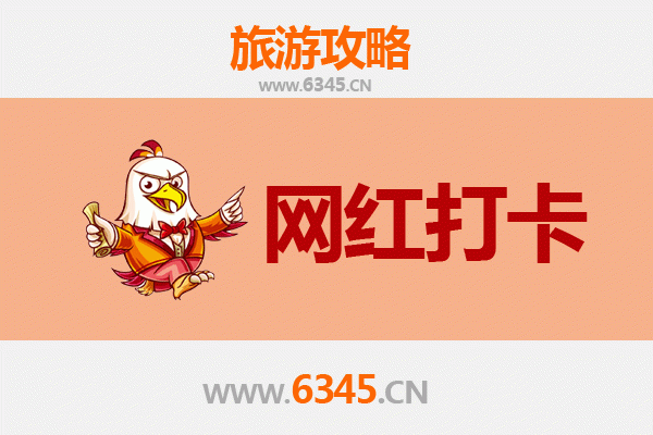 上海青浦网红打卡地全攻略：探索隐藏的文艺与自然之美